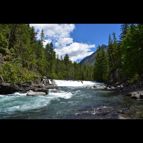 Meet your Posher, Samantha - Picture 3 of 3